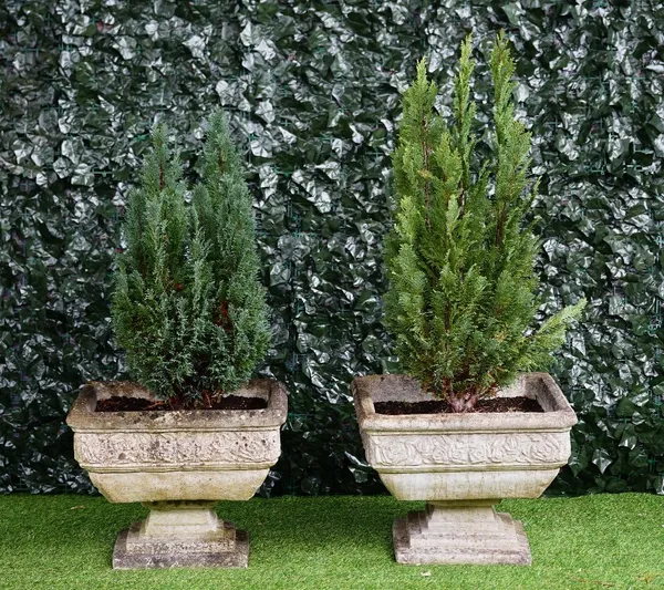 A pair of reconstituted stone planters, the square bodies moulded with a band of roses on stepped square socle, 52cm wide x 45cm high.