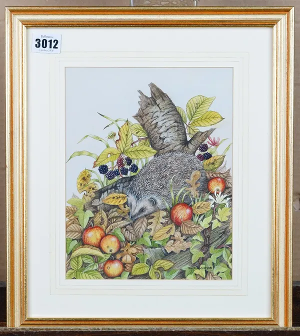 Joyce Rogerson (British, 20th Century), A hedgehog foraging, signed 'Joyce Rogerson' (lower right), watercolour, 23 x 18cm, together with nine other w