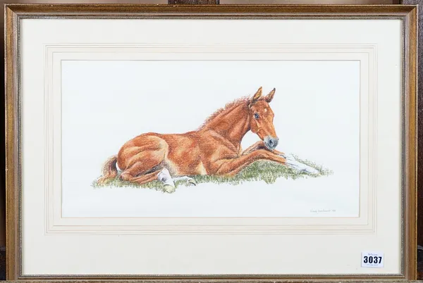 Wendy Goodwright (British, 1945-2011), A foal, signed and dated 'Wendy Goodwright 1987' (lower right), pastel, 22 x 42cm, together with another pastel