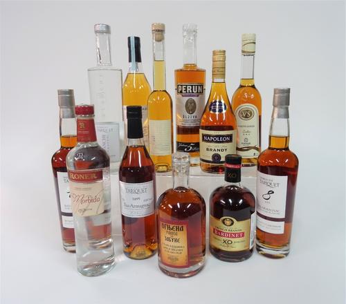 Box 5 - Mixed Spirits Ognjena apple Brandy Perun plum spirit Bardinet XO Geest Van Dassemus Eau-de-Vie Napoleon Brandy Braastad Cocktail edition Cogna