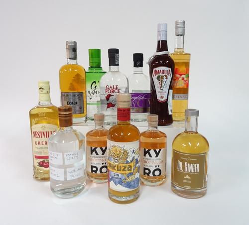 Box 11 - Mixed Spirits Gale Force Gin Bainbridge heritage G'vine Gin Kyro pink Gin Kyro pink Gin EDC London dry Gin Mad City botanical RumYuzu Gin Liq