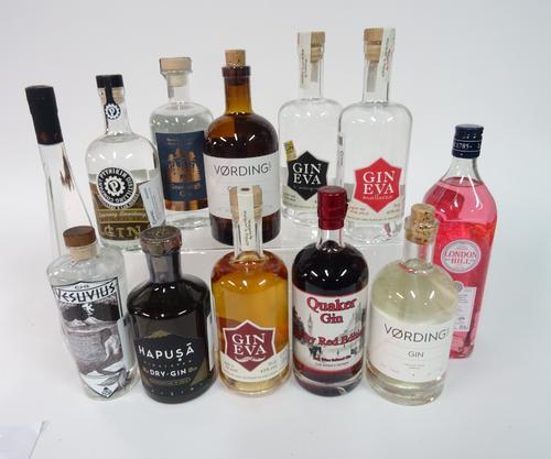 Box 41 - Gin London Hill pink Gin Vordings Gin Quaqker ruby red Gin Gin Eva Gin Hapusa Himalayan Gin Fesuvius elder Gin Eck Coblenz Gin Gin Eva Mallor
