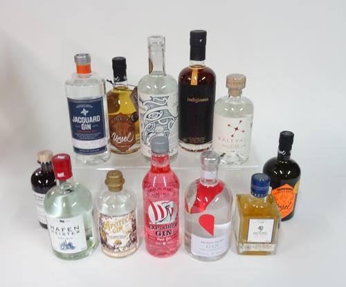Box 42 - GinUrsel dark forest Gin 9 Moons solera reserve Gin Broken Heart Gin Explorer pink Gin Apoteca Gin Hafen Meister Gin Botanix Gin Kalevala Gin