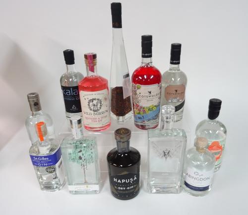 Box 45 - Gin St. Laurent citrus Gin Abingdon Gin SOS Gin Hapusa Himalayan Gin Perfume Trees Gin St. Giles navy strength Gin Bainbridge fir Gin Kalas G