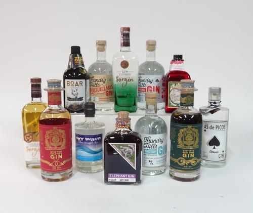 Box 50 - Gin SorGin French Gin Thundry Hills Gin Thundry Hills Michaelmas spiced Gin Sinne raspberry Gin Boar Black Forest Gin Elephant sloe Gin Thund