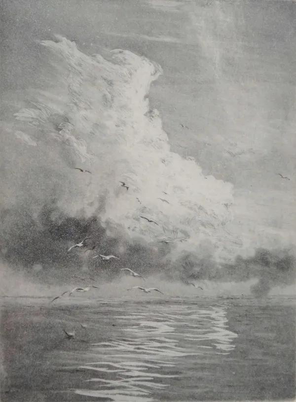 William Lionel Wyllie (British 1851-1931), Seabirds and sunlight, etching, signed and inscribed by Wyllie's widow, 16.5cm x 12cm.