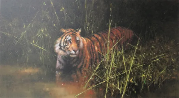 David Shepherd (British 1931-2017), Into the sunlight, there came a tiger, colour print, signed in pencil, numbered 137/950, unframed, 50cm x 78cm., t