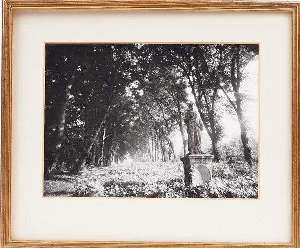 Eugene Atget (1857-1927), photograph of the Parc De Sceaux, Paris, circa 1925, unsigned, framed and mounted, 23cm x 17.5cm.