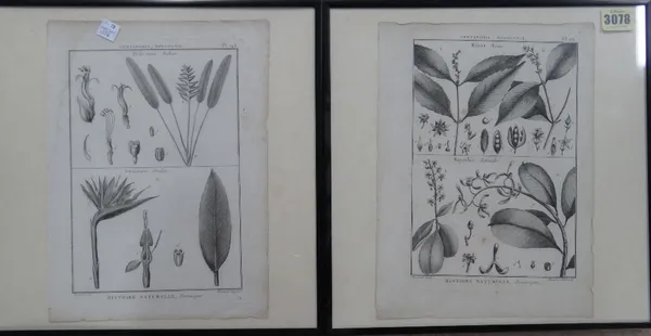 After Fossier, Histoire Naturelle, a group of eleven engravings by Benard, each approx 28cm x 21cm.; together with a further five similar.(16)