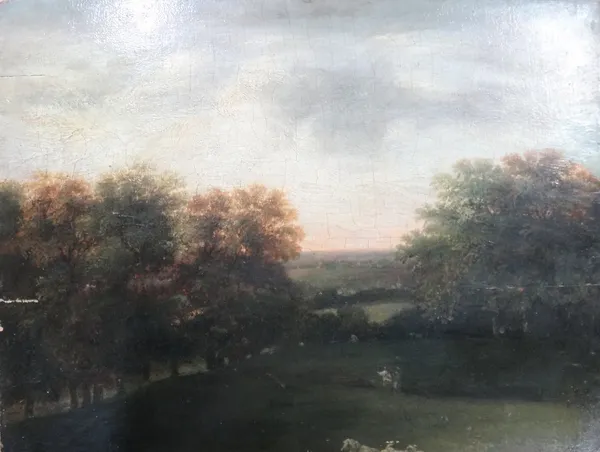 English School (19th century), Wooded landscape, oil on panel, unframed, 34cm x 45cm.