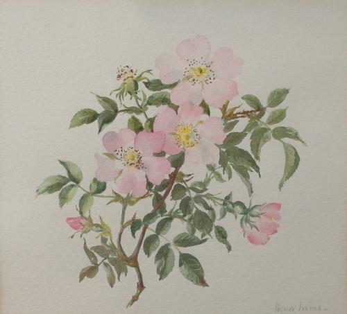 Honor Irvine (British, 20th Century), Wild Roses, signed 'Honor Irvine' (lower right), watercolour, 20.5 x 23.5cm. to be sold with British School,...