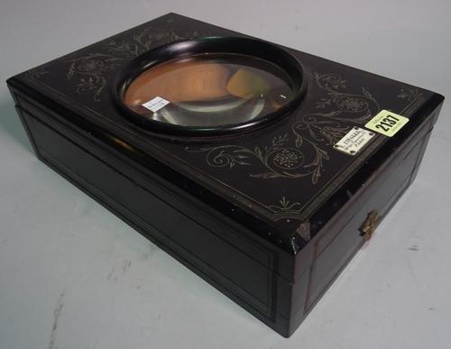 E. Ziegler, an early 20th century graphoscope within ebonised case, 34cm wide x 10cm high.