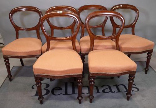 A set of six Victorian mahogany balloon back dining chairs, on turned supports, 48cm wide x 86cm high, (6).