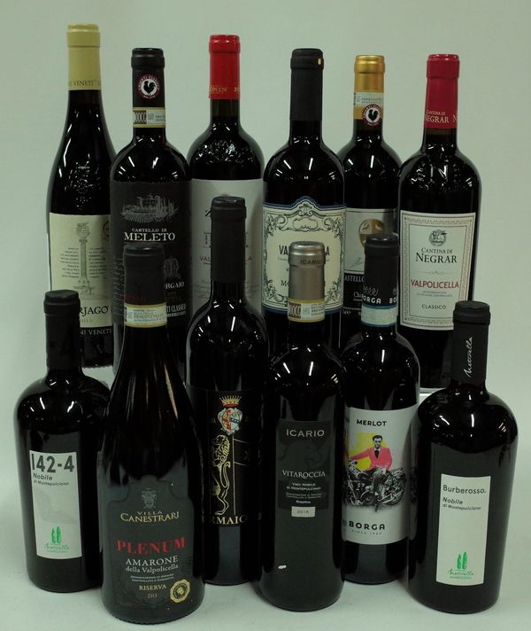 Italian Red Wine: 142-4 Vino Nobile di Montepulciano 2016; Villa Canestrari Plenum Amarone 2013; Conte Borghini Baldovinetti Armaiolo 2015; Icario...