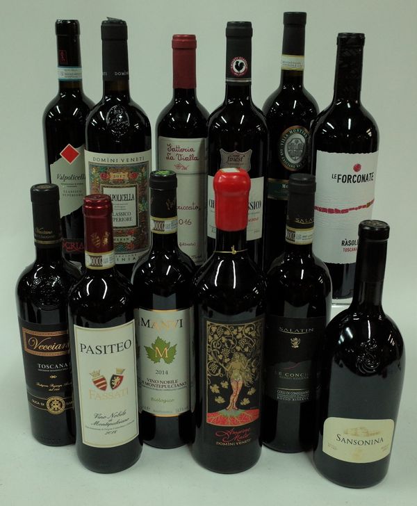 Italian Red Wine: Vecciano Duca di Saragnano Toscana 2017; Fassati Pasiteo Montepulciano 2016; Manvi Montepulciano 2014; Domini Veneti Amarone Mater...