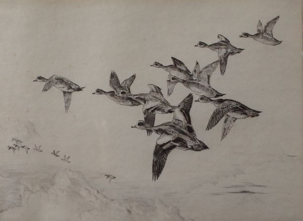 Winifred Austen (British, 1876-1964), American Widgeon, signed in pencil 'Winifred Austen' (in lower margin), etching, 20.5 x 28cm, together with...