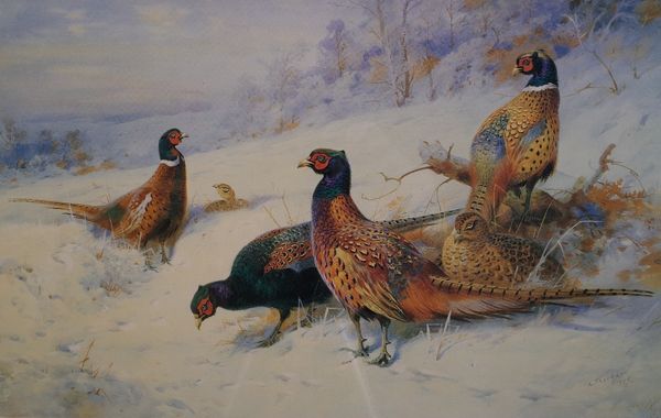 After Archibald Thorburn, Six pheasant in the snow, limited edition reproduction print, number 123/400, published by The Game Conservancy and Malcolm...