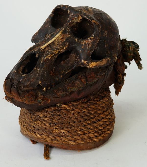 An African tribal rattle, mounted with a monkey's skull, 19cm high.