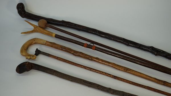 Fifteen various walking sticks, to include a bone handled and novelty dog's head example, (15).