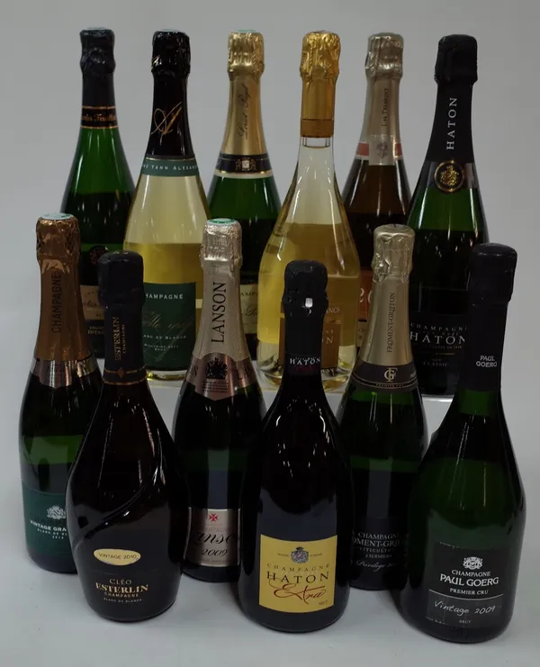 Champagne: Tesco Finest Vintage Grand Cru 2012; Esterlin Cleo Brut 2010; Lanson Gold Label Brut 2009; Jean-Noel Haton Extra Brut; Froment-Griffon...