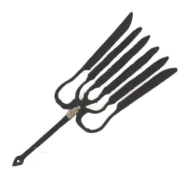 AN EEL SPEAR HEAD