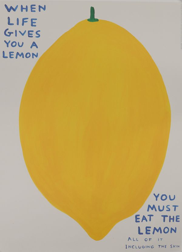 DAVID SHRIGLEY (BRITISH, B. 1968)