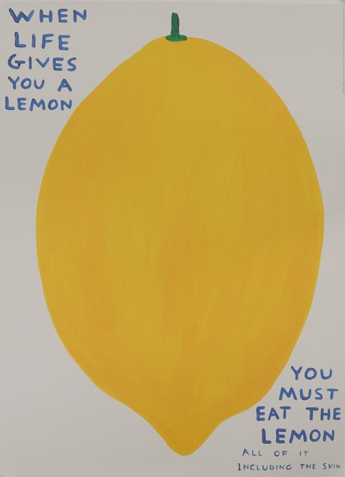 DAVID SHRIGLEY (BRITISH, B. 1968)