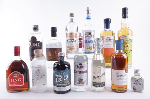 THIRTEEN BOTTLES VARIOUS SPIRITS