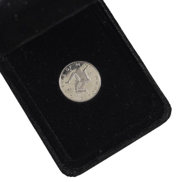 AN ISLE OF MAN PLATINUM PROOF ONE POUND
