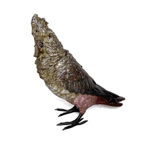 AN AUSTRIAN COLD-PAINTED BRONZE MODEL OF A COCKATOO