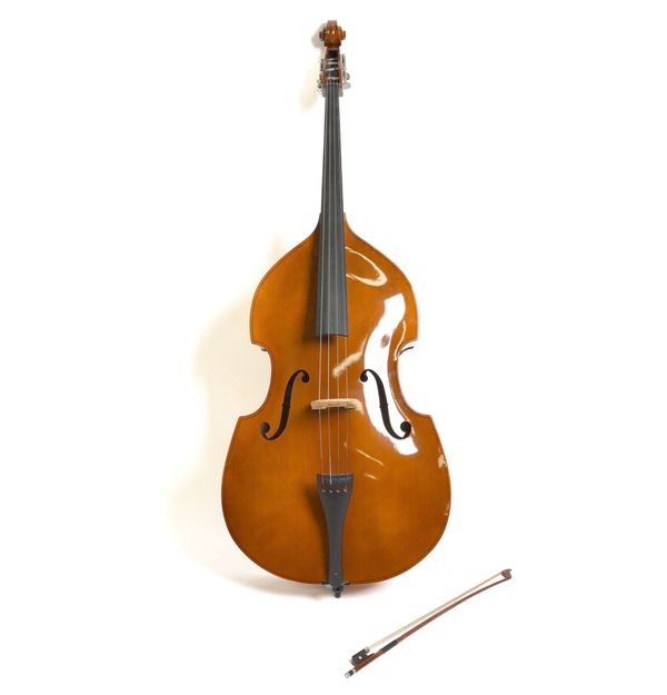 A DOUBLE BASS BY JOSEPH JAN DVORAK (3)