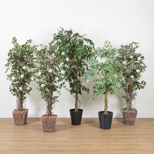 THREE FAUX WHITE BOUGAINVILLEA (5)