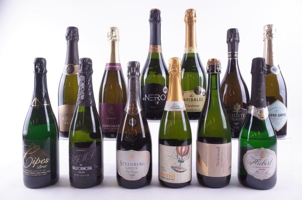 TWELVE BOTTLES VARIOUS SPARKLING WINE