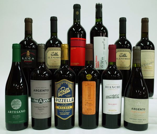 12 BOTTLES ARGENTINIAN RED WINE