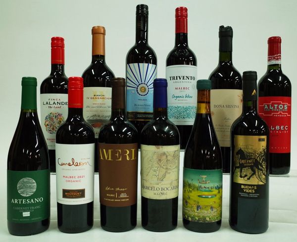 12 BOTTLES ARGENTINIAN RED WINE