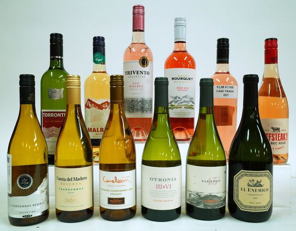 12 BOTTLES ARGENTINIAN WHITE AND ROSÉ WINE