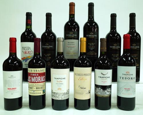 12 BOTTLES ARGENTINIAN MALBEC