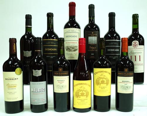 12 BOTTLES ARGENTINIAN RED WINE