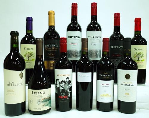 12 BOTTLES ARGENTINIAN RED WINE