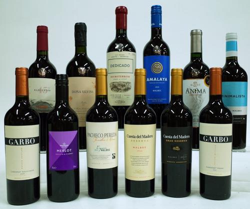 12 BOTTLES ARGENTINIAN RED WINE