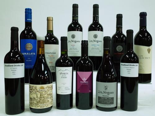 12 BOTTLES ARGENTINIAN RED WINE