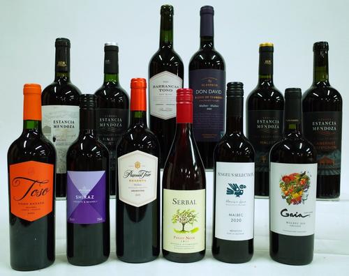 12 BOTTLES ARGENTINIAN RED WINE