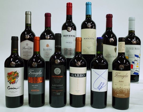 12 BOTTLES ARGENTINIAN RED WINE