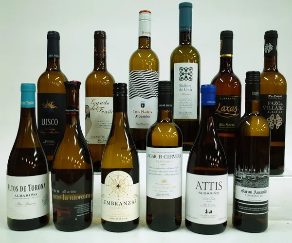 12  BOTTLES SPANISH WHITE WINE (ALBARINO)