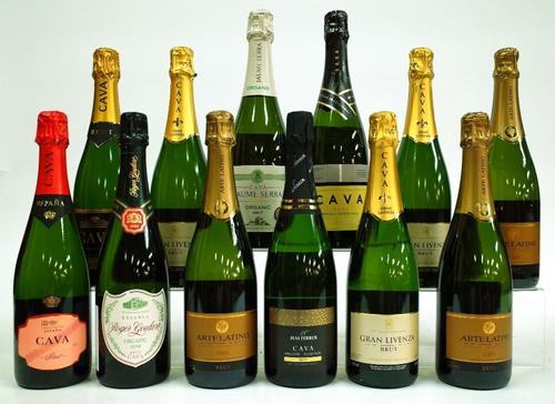 12 BOTTLES CAVA