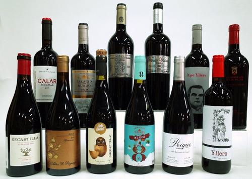 12 BOTTLES SPANISH RED WINE