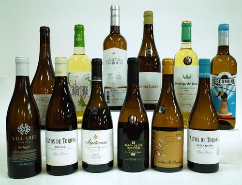 12 BOTTLES SPANISH WHITE WINE