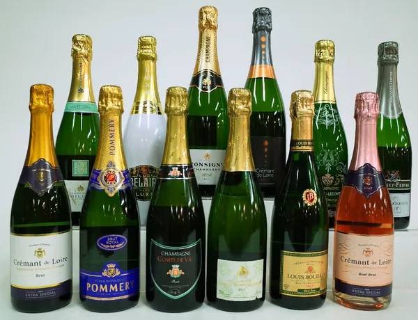 12 BOTTLES CHAMPAGNE AND SPARKLING WINE