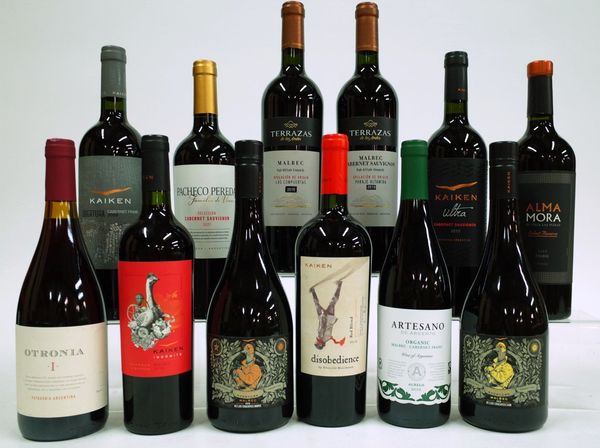 12 BOTTLES ARGENTINIAN RED WINE