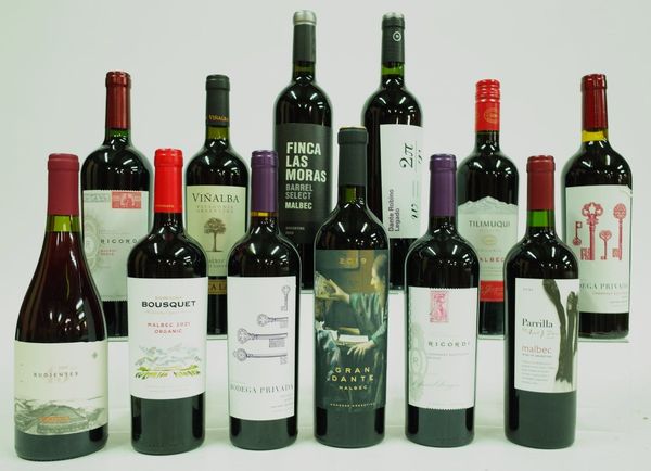 12 BOTTLES ARGENTINIAN RED WINE